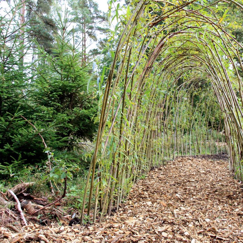 Myternas Skog skapar nyfikenhet för utelek