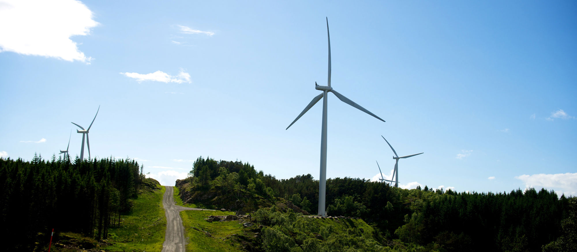 Veidekke får vindkraftsuppdrag åt  BayWa r.e.